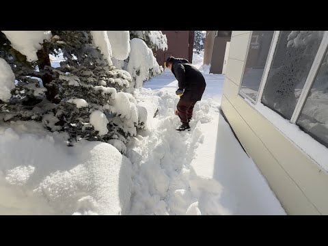 Living in Hokkaido: 25 cm of Snow Overnight… Shoveling Snow with a Bento 🍱