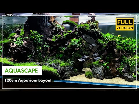 120cm水槽 立ち上げから完成まで/アクアリウム/aquarium/120cm/vlog/