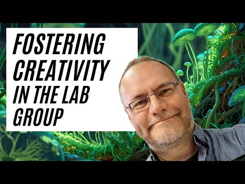 How to make research labs more creative #academia #phd #postdoc #creativity