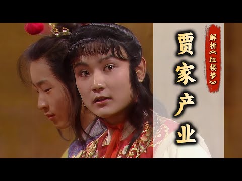 贾家除了田庄还有什么产业？窥探荣宁二府的发家与败落！