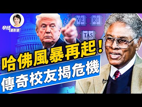 哈佛川普大戰！傳奇經濟學家校友揭文憑危機！｜#辛恬面對面｜06.07.2025