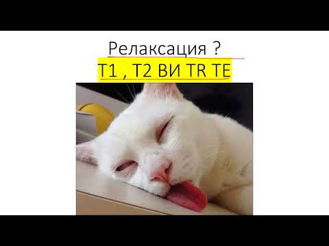 Основы МРТ(ЧАСТЬ 1). Что такое TR, TE, ИП?