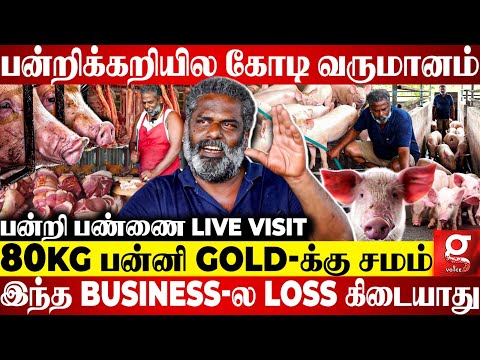 அன்று பன்னிக்காரன்.. இன்று கோடீஸ்வரன்..🔥சென்னையை கலக்கும் பன்றிக்கறி Business😮Pig Farm Live Visit