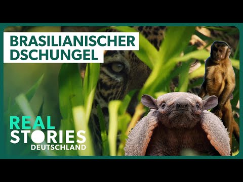 Einzigartig & unerforscht: Brasiliens Hochland