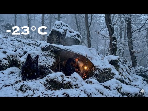 Surviving -23°C Under the Rock Cliffs | No Tent, No sleeping bag 