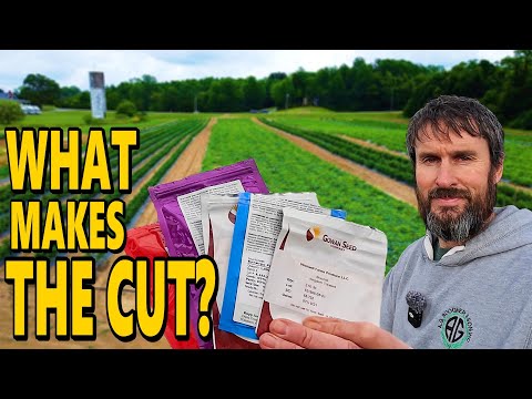 My Vegetable Farm’s BIGGEST Expense in 2026