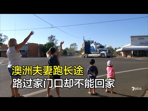 澳洲內陸牲畜車，人歇車不歇，夫妻倆3天跑2500公里轉運1674頭牛