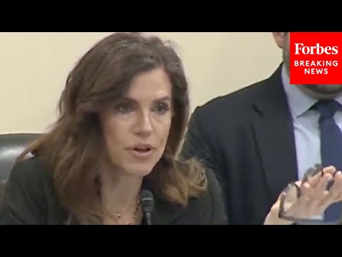 'Over $2M Studying The Fertility Of Transgender Mice': Mace Lists Tax-Funded Animal Experiments