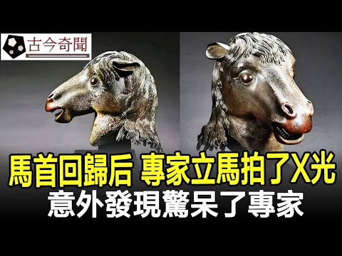 圓明園“馬首”回歸祖國后，專家立馬拍了X光，意外發現驚呆了專家！#圓明園#馬首#奇聞#歷史#考古#古墓#古代#文物#古今奇聞