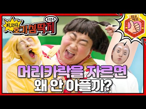 머리카락을 당기면 아픈데, 자르면 아프지 않은 이유는 뭘까? ㅣ최고다! 호기심 딱지ㅣ머리카락을 자르면 왜 안 아플까?