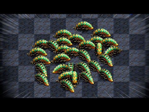 진짜 시원함 레전드ㅋㅋ 걸어다니는 200리버 보신 적 있으신가요? 이건 뭐 핵폭탄이 따로 없습니다ㄷㄷ