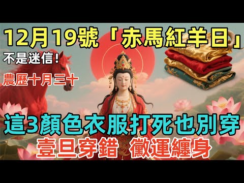 不是迷信！12月19號，農歷十月三十，「赤馬紅羊日」，這3顏色衣服打死也別穿，壹旦穿錯，黴運纏身！否則菩薩都保不了妳！#佛學 #佛淨 #佛陀 #佛法 #佛教 #修行