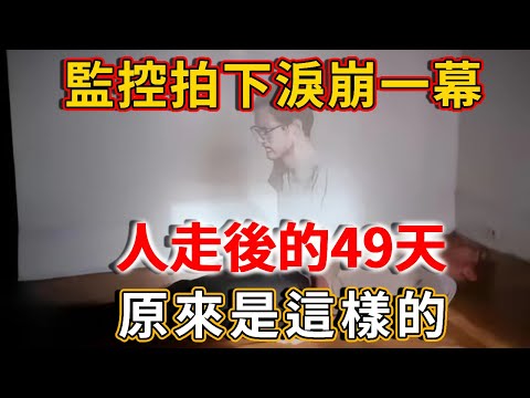 淚奔！監控拍下震撼一幕，人走後的49天，原來是這樣的！ |禪語
