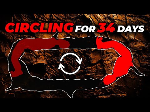 Caver Trapped In Cave's INFINITE Loop For 34 Days | Caving Gone Horribly Wrong