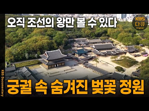 Spring has arrived in the secret garden of Changdeokgung Palace, once reserved only for Joseon ki...