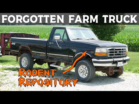 Can We Get This 7.3 Power Stroke Back on the Road After Four Years?