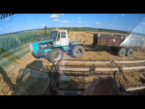 First trip to the field❗Harvest 2025 👍 Niva SK-5 Hectares swallows like a heron a frog😃