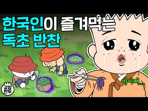 외국에서 기겁하는 한국의 나물 반찬｜한국인이 안먹는 풀은 높은 확률로 독초다