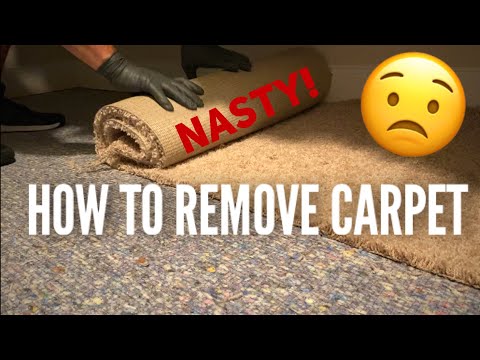 How to Remove Carpet Wall to Wall DIY! Part 1
