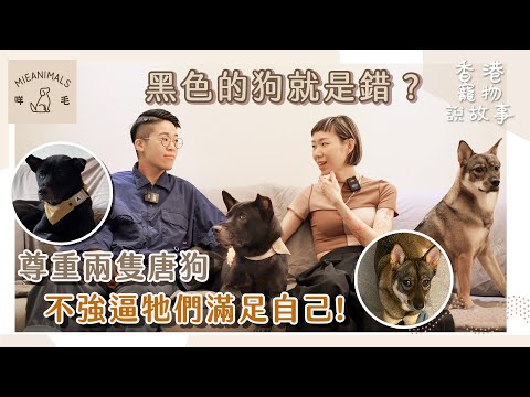 黑色的狗就是錯？主人尊重兩隻唐狗的個性，不強逼牠們滿足自己