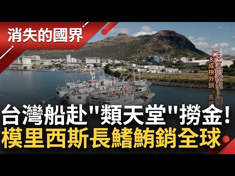 台灣船挺進"最像天堂的地方"淘金!台灣船長拜鍾馗祈求保護航行印度洋平安!模里西斯為全球6大公海漁撈國之一 "長鰭鮪"外銷世界有口皆碑│李文儀 主持│【消失的國界 完整版】20230826│三立新聞台