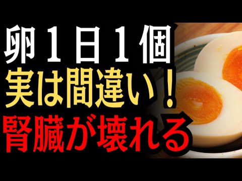 卵は腎臓の敵か、味方か？ 毎日ゆで卵を食べている人の末路と、腎臓を守るタンパク質の黄金比