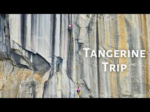 We Tried to Break Alex Honnold’s El Cap Speed Record