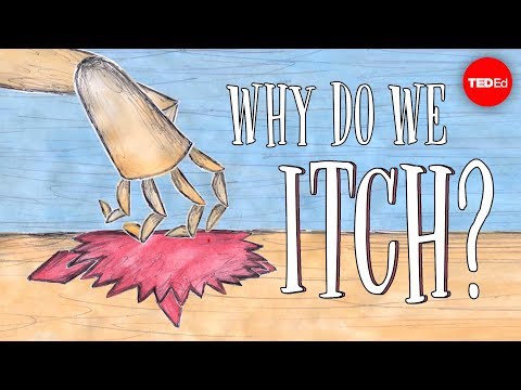 Why do we itch? - Emma Bryce