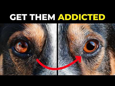 The Big Secret to STOP Reactivity – Real Results for You and Your Dog