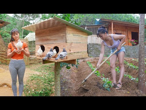 CEO Girl Left the City for the Forest -- Grow Sweet Potatoes, Fishing&Cooking - Raising Pigeons