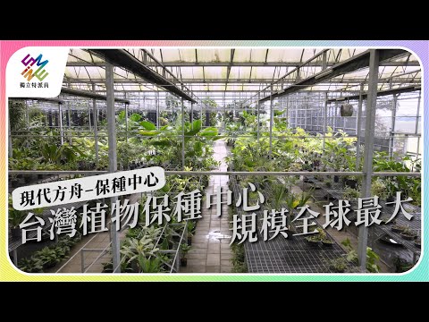 台灣植物保種中心，規模全球最大。｜ 現代方舟 保種中心｜公視 #獨立特派員 第786集 20230201