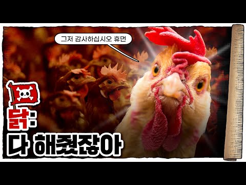 💀 육류계의 ‘신’🐔 / 💀 닭고기가 무적인 이유