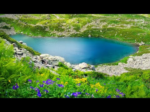 Добрая, нежная, невероятно вдохновляющая музыка Сергея Чекалина! Красиво для души! Мелодия неземная!