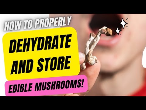 🍄 Dehydration and Storage: The Proper Way (Edible Mycology) 🍄
