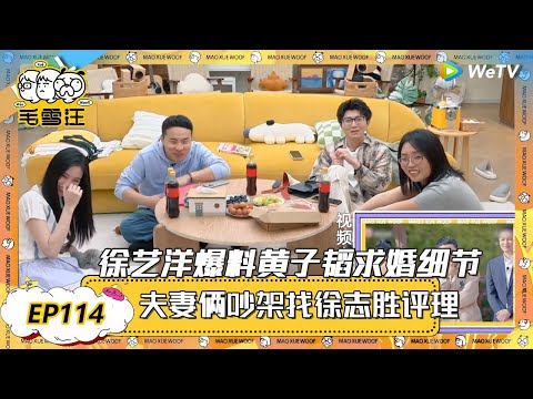 【2025年EP114期完整版】黄子韬跟徐艺洋吵架找徐志胜评理！徐艺洋爆料黄子韬求婚细节！ |《毛雪汪2025年春日》 #综艺 #毛雪汪 #李雪琴 #毛不易 #徐艺洋 #徐志胜 #黄子韬