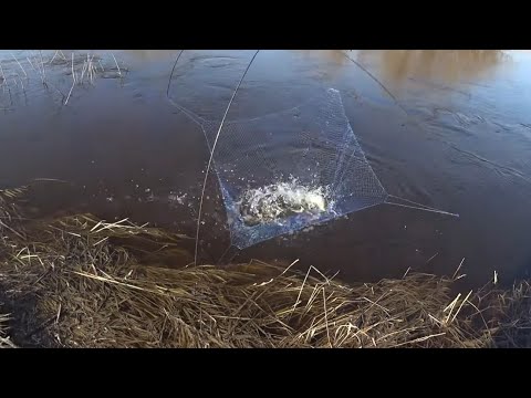 Рыбалка на паук и кривду. Какая снасть уловистее ....🐬🐬🐬