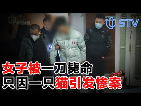 女子被一刀毙命，凶手竟是男友，只因一只猫引发惨案#东方110  20250807 FULL