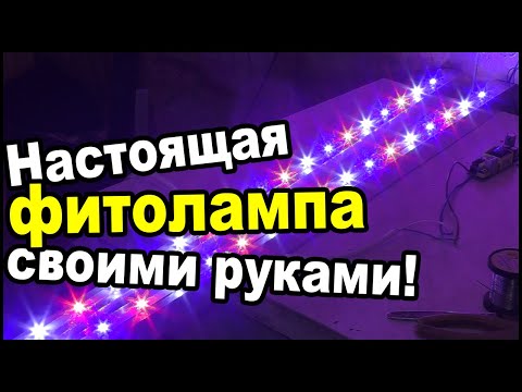 НАСТОЯЩАЯ ФИТОЛАМПА своими руками!!! НЕ БИКОЛОР.