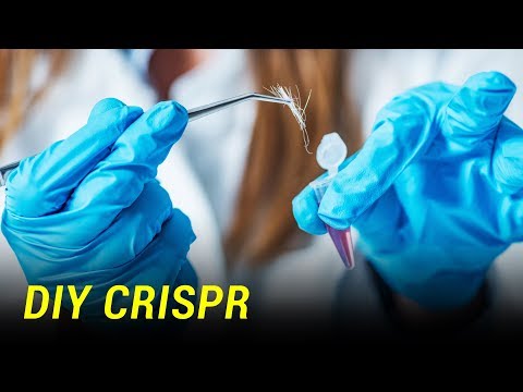 CRISPR gene-editing at home