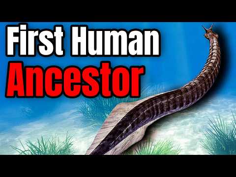 Prehistoric Creatures Scientists Got COMPLETELY Wrong