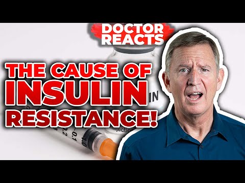 Insulin Resistance! What Is It and Should You Be Worried?