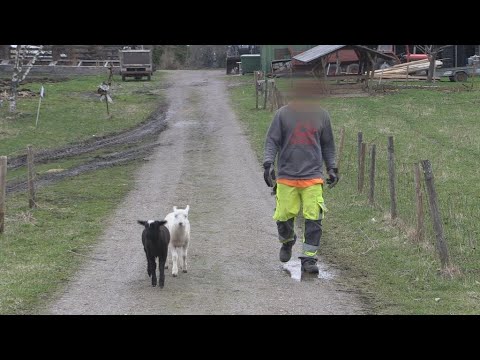 A closer look at Finland's 'open prisons'