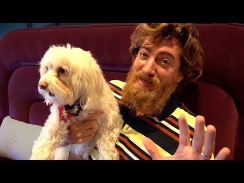 Our Dogs Meet a Cat For The First Time