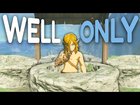 Can You Beat Tears of the Kingdom With Only Well Items?