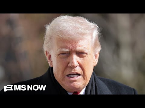 'Read the Constitution': Trump's response to Pretti's death sparks backlash from gun owners