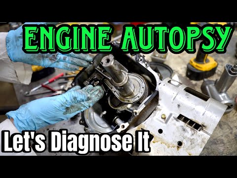 Briggs Engine Failure! Let's Do An Autopsy
