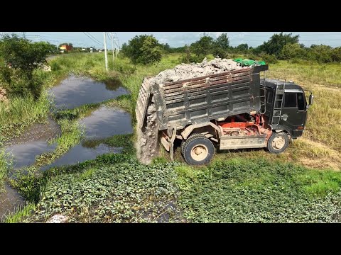 Nicely Job Starting New Project!5TonDumpTruck Filling Land Flood Grass,Skill Dozer D31A Pushing Soil