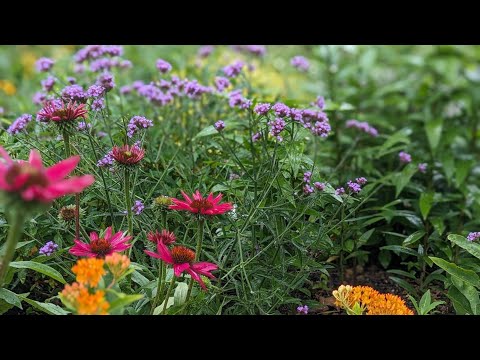 June Garden Tour