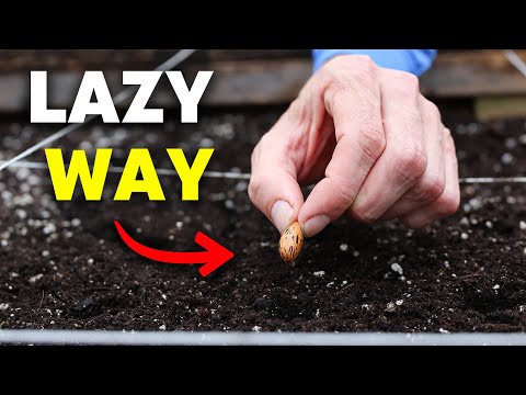 The Lazy Way to Plant in May
