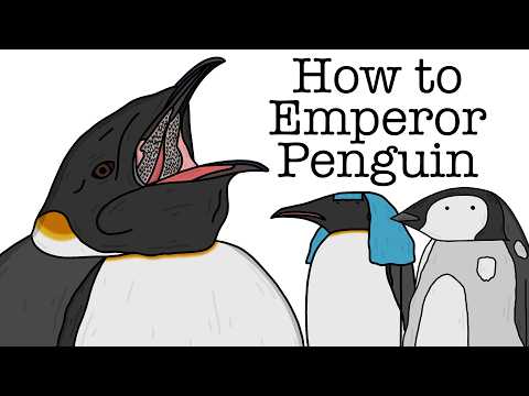 Your Life as an Emperor Penguin